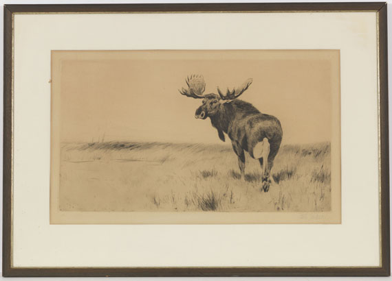 Wilhelm Kuhnert - 3 Bll.: Ruhende Löwen. Afrikanisches Nashorn. Elch - Frame image