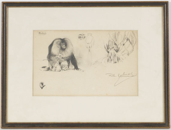 Wilhelm Kuhnert - Bartaffe (Wanderu/M.silenus) - Frame image