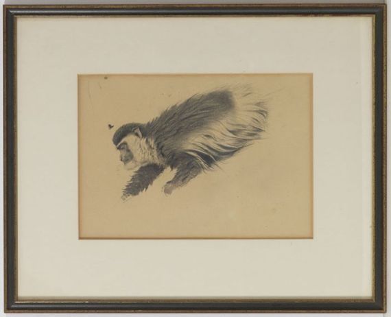 Wilhelm Kuhnert - Afrikanischer Hundsaffe / Stummelaffe (Colobus guereza) - Frame image