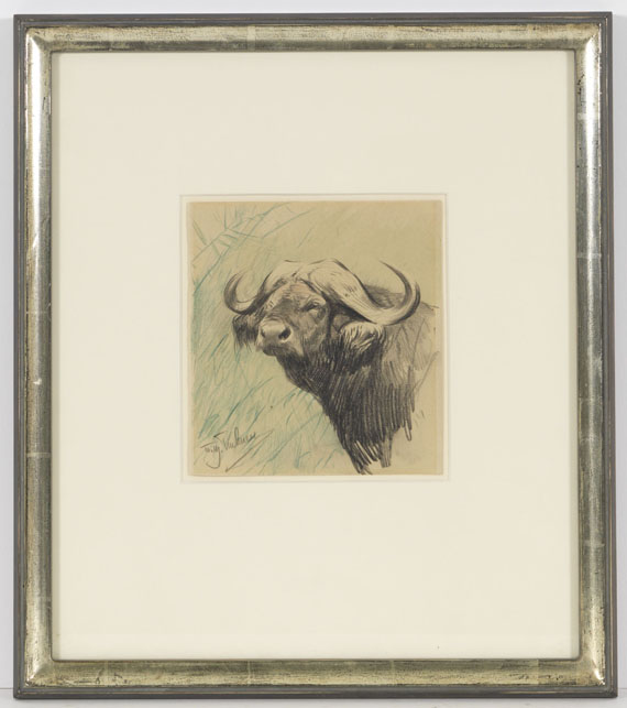 Wilhelm Kuhnert - Kaffernbüffel - Frame image