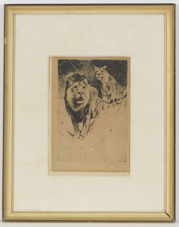 Wilhelm Kuhnert - 4 Bll: Indischer Elefant. Tiger. Löwen. Löwe sitzend - Frame image