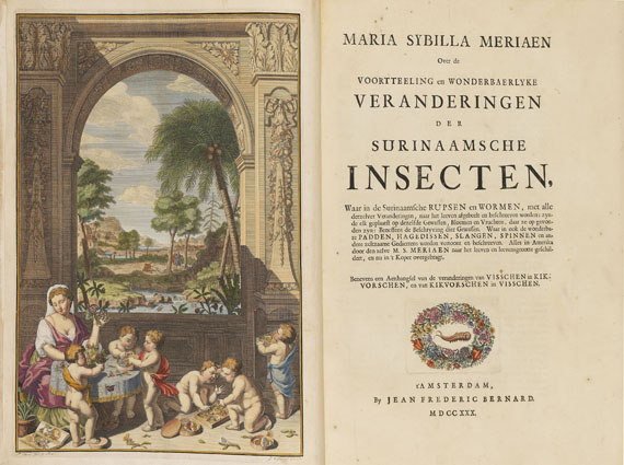 Maria Sibylla Merian - Surinaamsche Insecten. Amsterdam 1730 - 