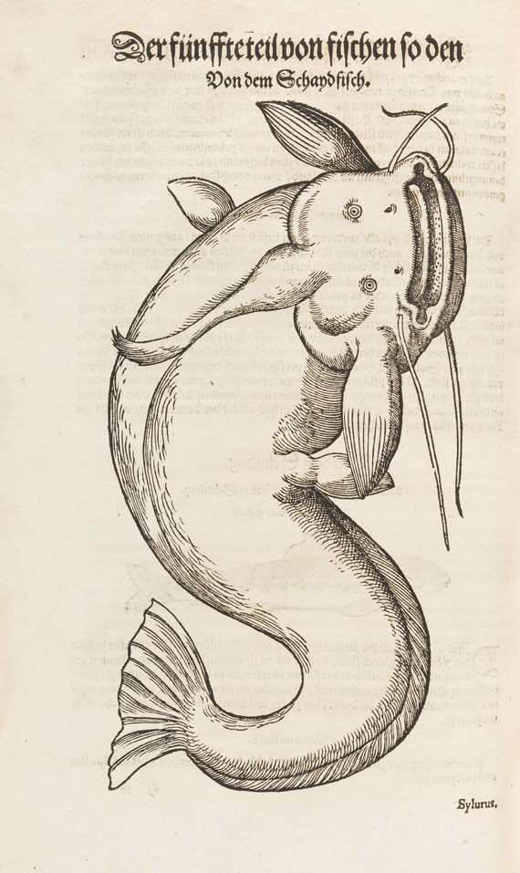 Conrad Gesner - Vogel-, Thier-, Fisch- und Schlangenbuch