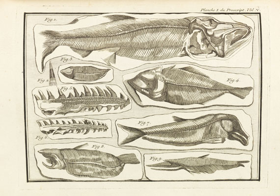 Jean-Etienne Guettard - Memoires sur différentes parties des sciences et arts. 5 Bde. 1768 - 