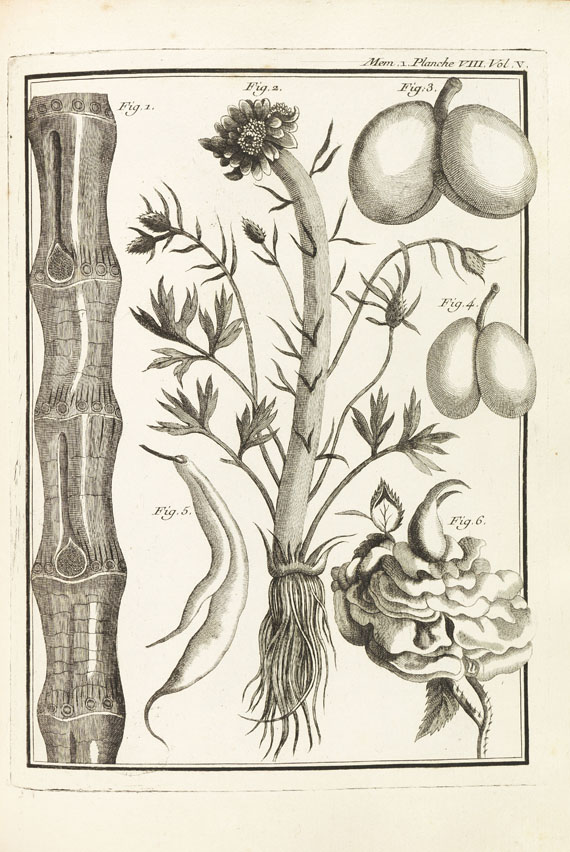 Jean-Etienne Guettard - Memoires sur différentes parties des sciences et arts. 5 Bde. 1768 - 