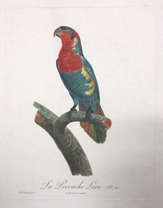  Vögel - Ca. 90 Bll. Papageien, Paradiesvögel, Kolibris. - 