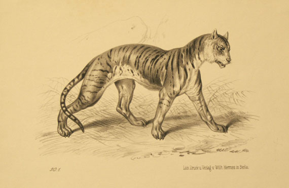  Tiere - Ca. 70 Bll. Exotische Tiere. - 