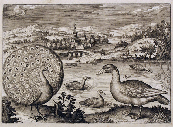  Vögel - Ca. 300 Bll. Vogeldarstellungen. - 