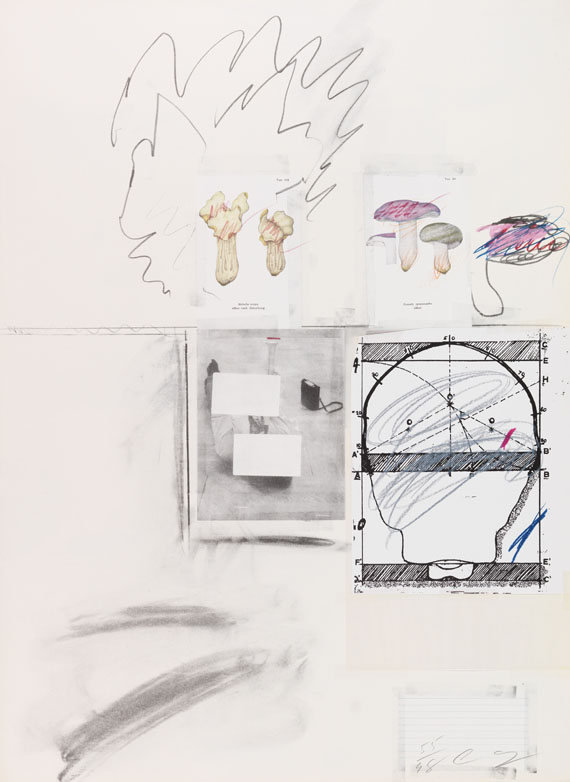 Cy Twombly - Natural History Part I, Mushrooms - 