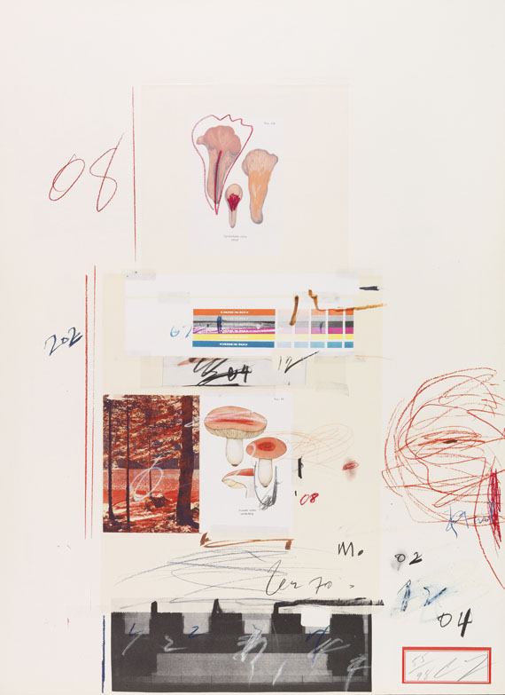 Cy Twombly - Natural History Part I, Mushrooms - 