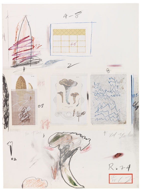 Cy Twombly - Natural History Part I, Mushrooms - 