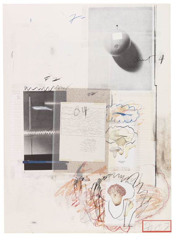 Cy Twombly - Natural History Part I, Mushrooms - 