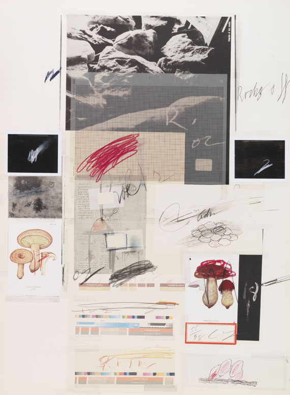 Cy Twombly - Natural History Part I, Mushrooms