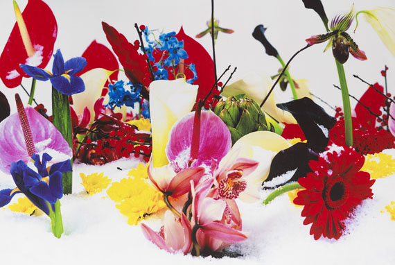 Marc Quinn - Winter Garden