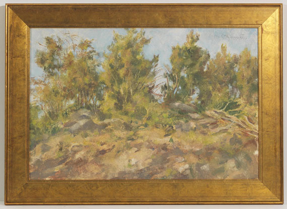 Lotte Laserstein - Schwedische Landschaft - Frame image