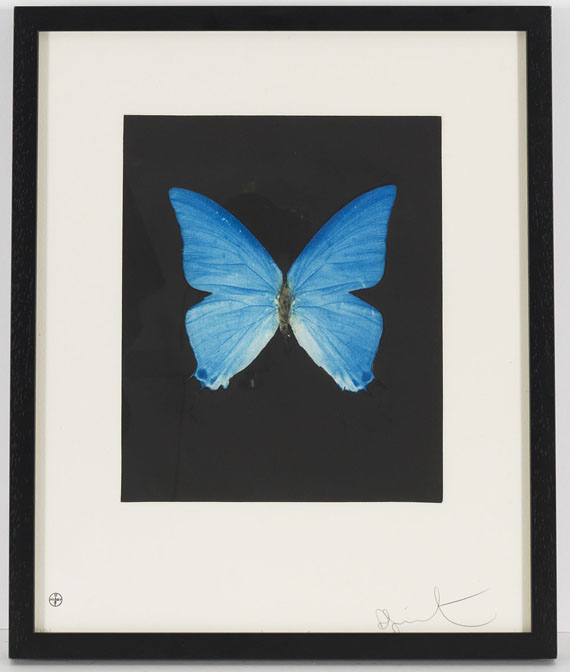 Damien Hirst - Providence - Frame image