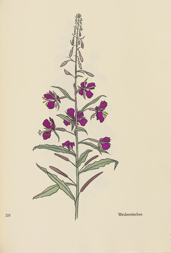 Rudolf Koch - Das Blumenbuch - 