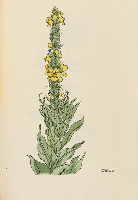 Rudolf Koch - Das Blumenbuch - 