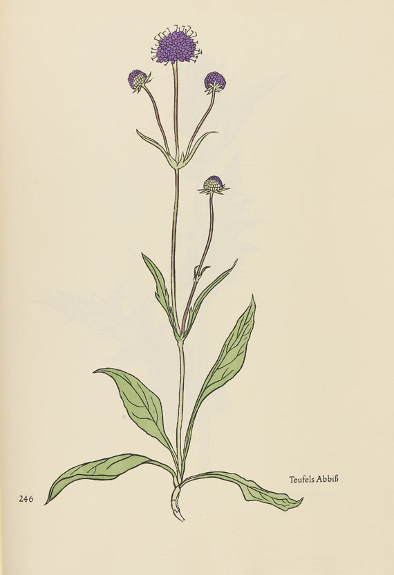 Rudolf Koch - Das Blumenbuch - 