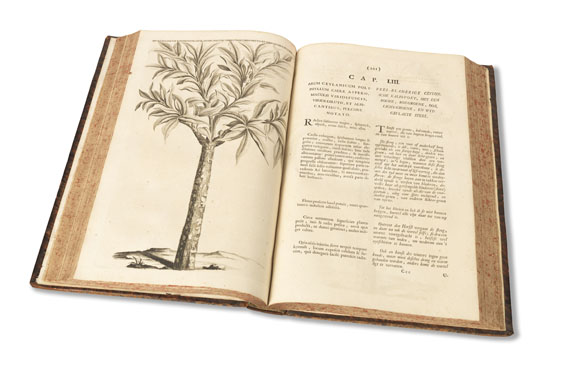 Caspar Commelin - Horti medici - 