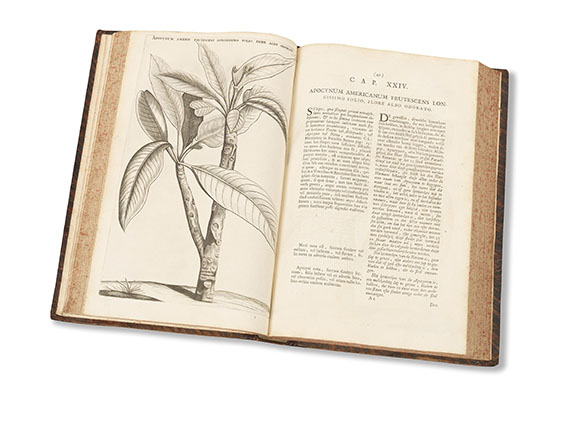 Caspar Commelin - Horti medici - 