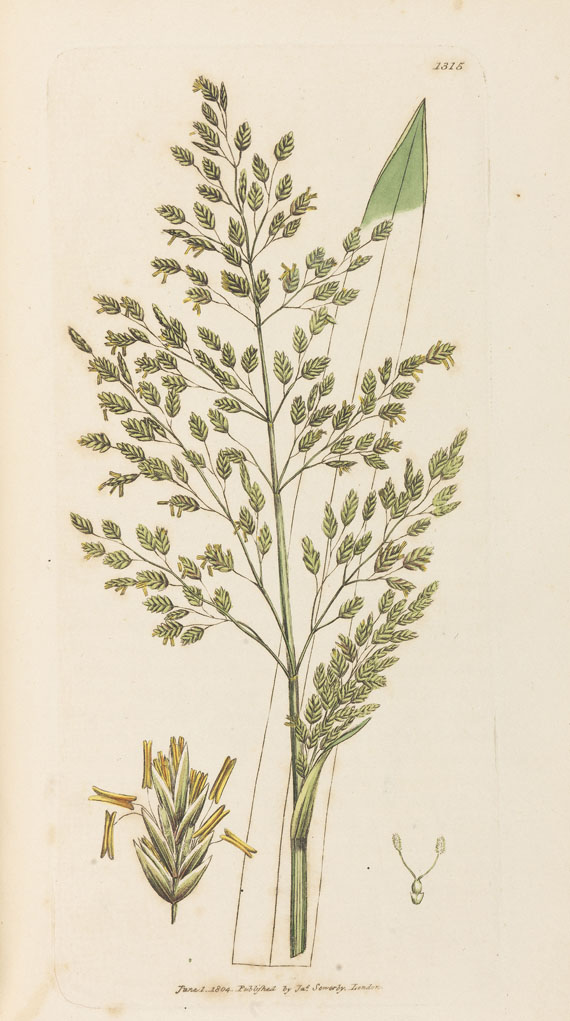 James Sowerby - English botany. 36 Bde. - 