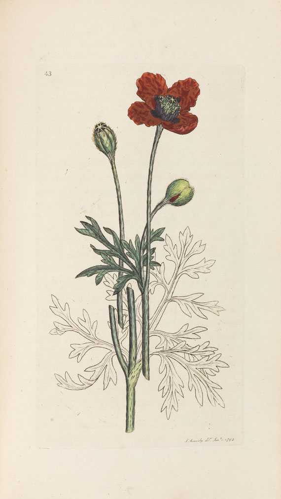 James Sowerby - English botany. 36 Bde. - 