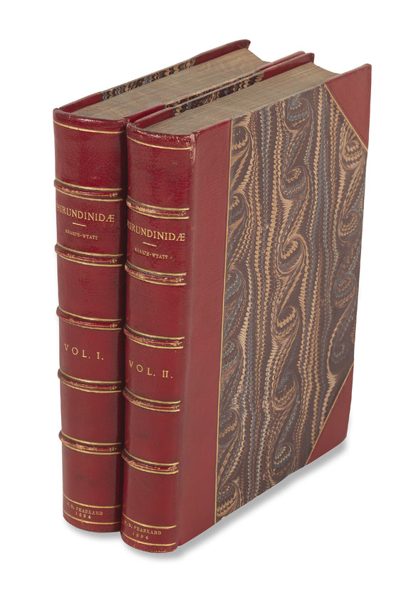 Richard Bowdler Sharpe - Hirundinidae - 