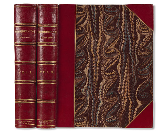 Richard Bowdler Sharpe - Hirundinidae - 