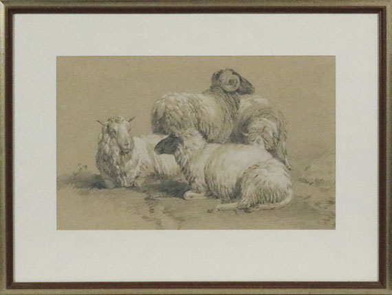 Adam - Vier Schafe