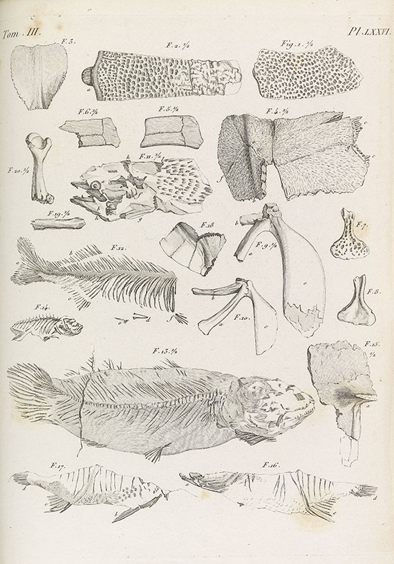 Georges Cuvier - Recherches sur les ossemens fossiles. 7 Bde. - 
