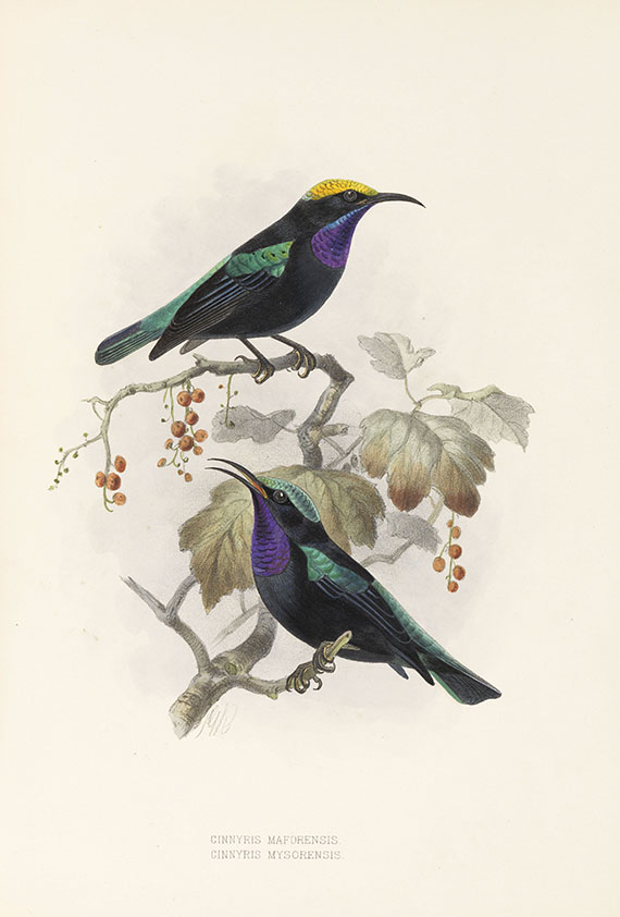 George Ernest Shelley - A monograph of the Nectariniidae, or sun birds. 1876. - 