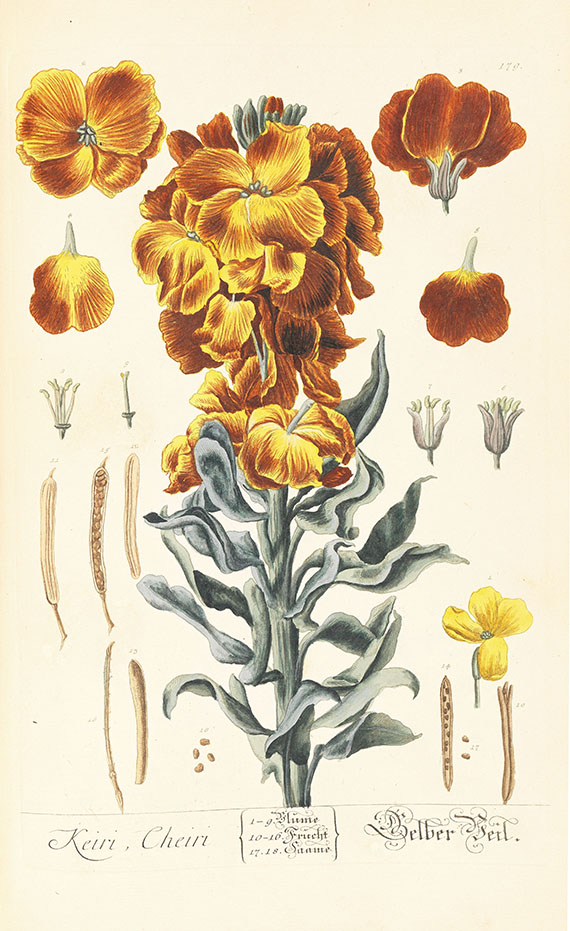 Elisabeth Blackwell - Herbarium, 6 Centurien (Tafeln) in 2 Bdn.