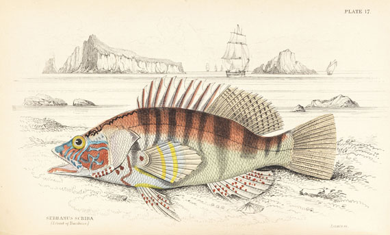 William Jardine - Naturalist