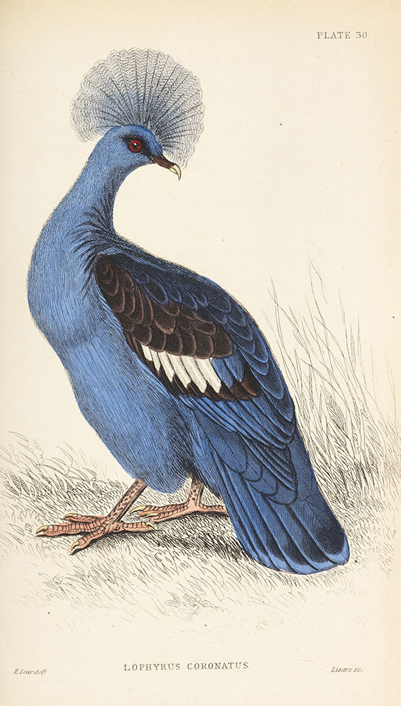 William Jardine - Naturalist