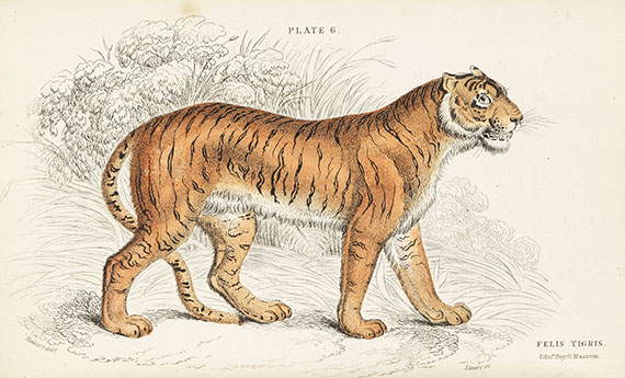 William Jardine - Naturalist