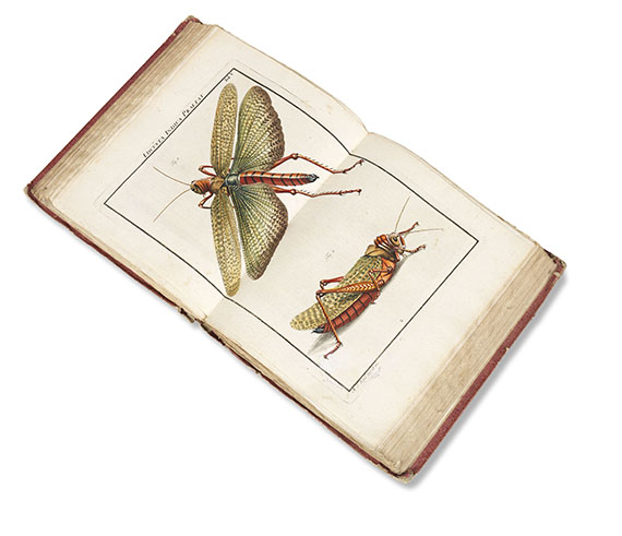 August Johann Rösel von Rosenhof - Insecten-Belustigung, 4 Bde., dazu Kleemann, Beyträge zur Naturgeschichte, 2 Bde. in 1, zusammen 5 Bde. - 