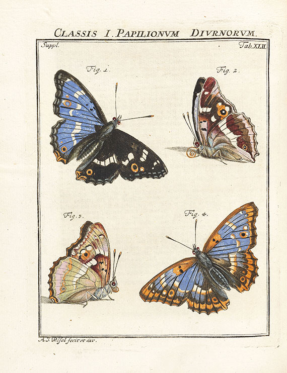 August Johann Rösel von Rosenhof - Insecten-Belustigung, 4 Bde., dazu Kleemann, Beyträge zur Naturgeschichte, 2 Bde. in 1, zusammen 5 Bde. - 