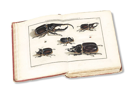 August Johann Rösel von Rosenhof - Insecten-Belustigung, 4 Bde., dazu Kleemann, Beyträge zur Naturgeschichte, 2 Bde. in 1, zusammen 5 Bde. - 