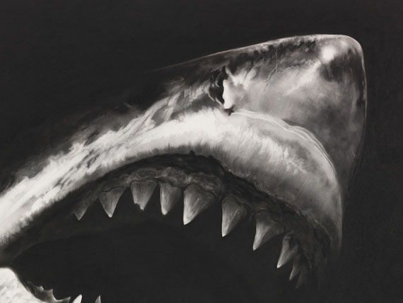 Robert Longo - Untitled (Shark 15) - 