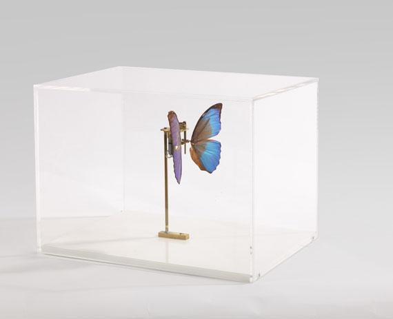 Rebecca Horn - Schmetterling - 