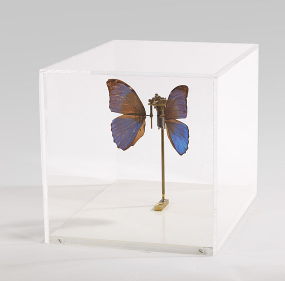 Rebecca Horn - Schmetterling - 