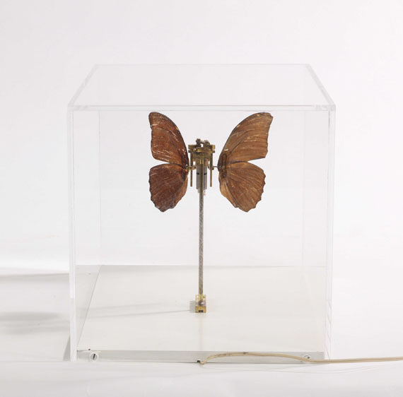 Rebecca Horn - Schmetterling - Back side