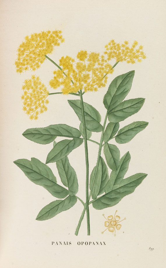 Jean H. Jaume Saint-Hilaire - Plantes de la France. 9 Bände - 