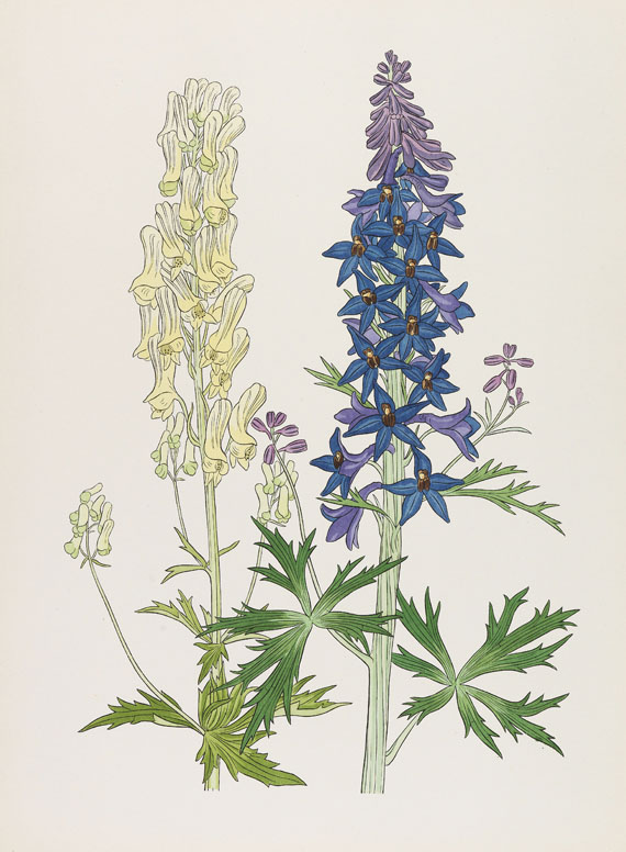 Josef Weisz - Blumen der Alpen. 4 Mappen - 