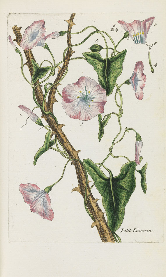 Pierre Bulliard - Flora Parisiensis. 6 Bände - 