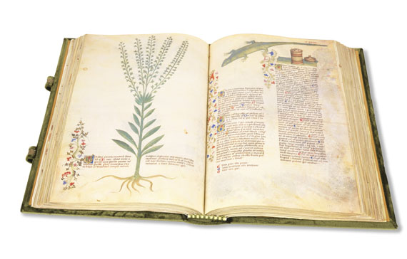 Historia Plantarum - Historia Plantarum. Faksimile-Ausgabe