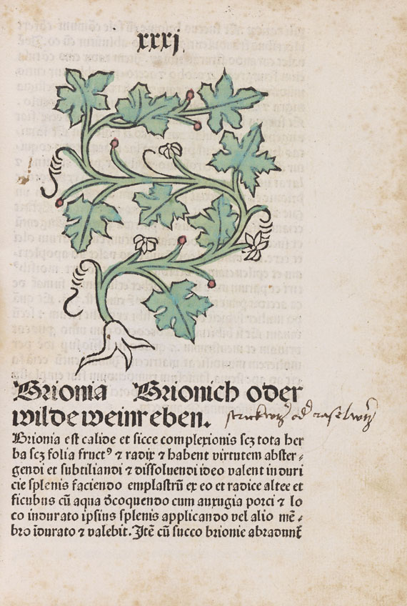   - Herbarius Pataviae - 