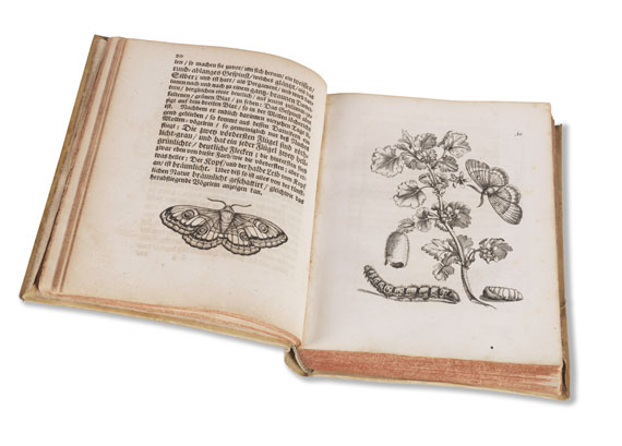 Maria Sibylla Merian - Der Raupen Verwandelung - 