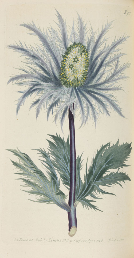 William Curtis - Botanical Magazine, Bd 1 - 53. 40 Bde. - 